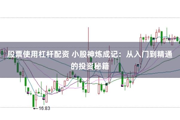 股票使用杠杆配资 小股神炼成记:从入门到精通的投资秘籍