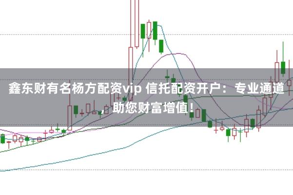 鑫东财有名杨方配资vip 信托配资开户：专业通道，助您财富增值！