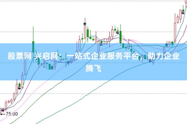 股票网 兴启网：一站式企业服务平台，助力企业腾飞