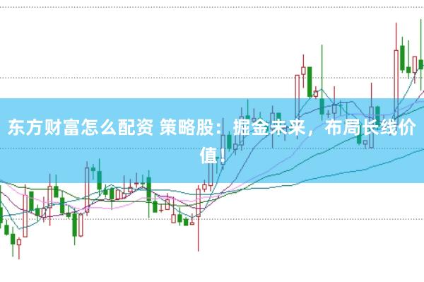 东方财富怎么配资 策略股:掘金未来,布局长线价值!