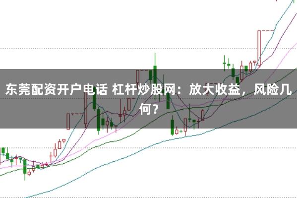 东莞配资开户电话 杠杆炒股网:放大收益,风险几何?