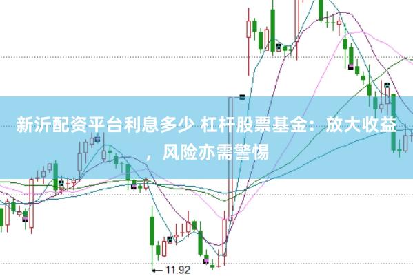 新沂配资平台利息多少 杠杆股票基金:放大收益,风险亦需警惕