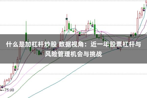 什么是加杠杆炒股 数据视角:近一年股票杠杆与风险管理机会与挑战